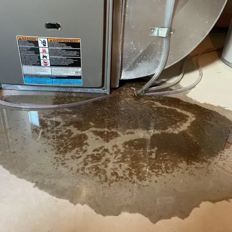 Appliance Leak Cleanup in Fisher, IL